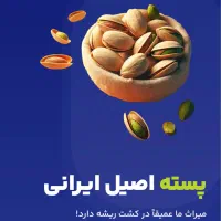 طراحی سایت / فروشگاهی و شرکتی / پرداخت در ۲ مرحله|خدمات رایانهای و موبایل|کرج, عظیمیه|دیوار