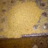 خوراک دام|عمدهفروشی|خوسف, |دیوار