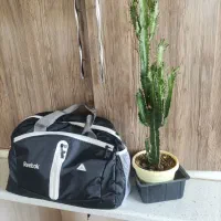 کیف باشگاهی