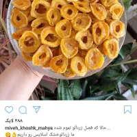 دستگاه میوه خشک کن|ماشین‌آلات صنعتی|بیرجند, |دیوار