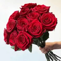 گل هدیه بدون هزینه