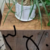 تعداد گل آپارتمانی با گلدان سرامیکی|گل و گیاه طبیعی|شاهین‌شهر, شهرک ردانی پور|دیوار