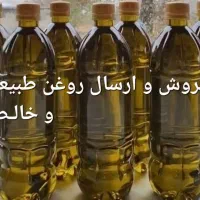 روغن زیتون اصل طارم|خوردنی و آشامیدنی|طارم, |دیوار