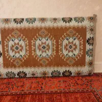 پشتی یک جفت (رایگان)