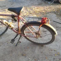 دوچرخه ۲۶|دوچرخه، اسکیت، اسکوتر|هشتگرد, شهرک راه آهن|دیوار