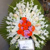 تاج گل|گل و گیاه طبیعی|تهران, نازی‌آباد|دیوار