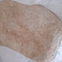 خوراکی و دامی