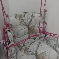 دوعدد تاب پارچه ای تاب عروسکی