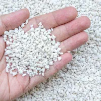 پرلیت مخصوص گل و گلدان
