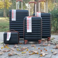 چمدان ۳تیکه|کیف، کفش، کمربند|همدان, |دیوار