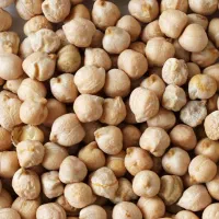 سرمایه برای صادرات کالا