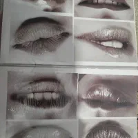 آلبوم عکس برای طراحی پرتره