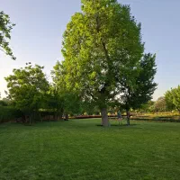 2000 متر مزروعی بیدخوار