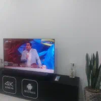 فروش تلویزیون