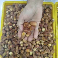 زاهدی (قصب)بهبهان|عمدهفروشی|سعدآباد, |دیوار