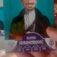 زلاتان|اسباب‌‌بازی|تهران, شهرک گلها (تهرانسر)|دیوار