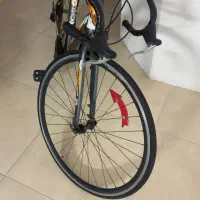 دوچرخه کورسی فوری|دوچرخه، اسکیت، اسکوتر|کیش, |دیوار