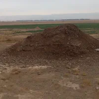 بار گاویی وبار گوسفندی. خشک