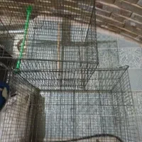 قفس قناری سایزبزرگ