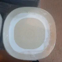 ارکوپال نو نو
