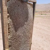 عسل اصل گون و جوشیر به شرط تست