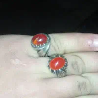 انکشتر|اشیا|سبزوار, ابوریحان|دیوار