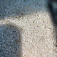 برنج نیم دانه عنبربو بدون واسطه1290