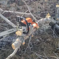 چوب بری سیار سجادی|خدمات باغبانی و درختکاری|کوهسار (البرز), |دیوار