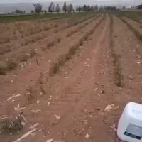 کود گیاهی و ارگانیک بر پایه کود مرغی|خدمات باغبانی و درختکاری|سنندج, |دیوار