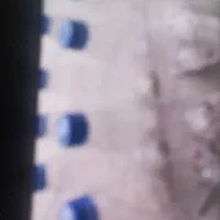 بطوری خالی