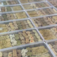 خونگی ۸ مدل