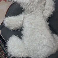 عروسک یک متری