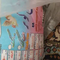 فرش|فرش|ارومیه, |دیوار