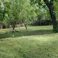 باغ گردو کرند