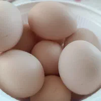 کره گاوی محلی تازه  ۷۰۰ تومان تخم مرغ محلی ۱۸تومان
