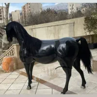 مجسمه و دکوریجات خاص