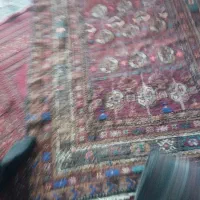 فرش دستباف قدیمی|فرش|جزنیک, |دیوار