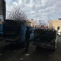 تولید نرده حفاظ شاخ گوزنی امنیت سازان قم|خدمات پیشه و مهارت|قم, نخودی|دیوار