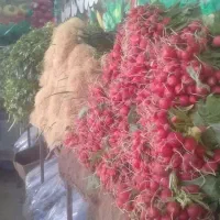 استخدام فروشنده