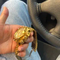 ساعت اینویکتا|ساعت|اردبیل, |دیوار