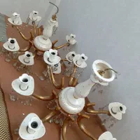 2 عدد لوستر کارکرده