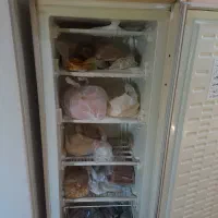 فریزر|یخچال و فریزر|سرخرود, |دیوار