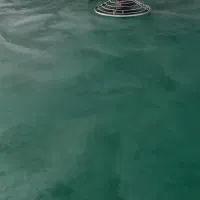 ماله پروانه .بتن کفسازی