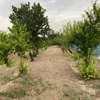 فروش باغ|فروش زمین و ملک کلنگی|تهران, کریم‌آباد|دیوار