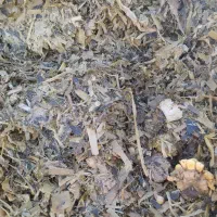 علوفه‌ذرت‌ ‌|عمده‌فروشی|میاندوآب, |دیوار