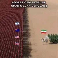 اسکان رایگان