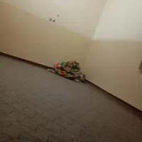 اجاره روزانه|اجارهٔ کوتاهمدت آپارتمان و سوئیت|میناب, |دیوار