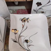 سرویس چینی پذیرایی ۱۲ نفره توس|ظروف سرو و پذیرایی|ری, شهادت|دیوار