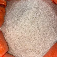 برنج صدری درجه یک گیلان زیر قیمت|خوردنی و آشامیدنی|دالخانی, |دیوار