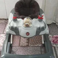 روروعک طوسی